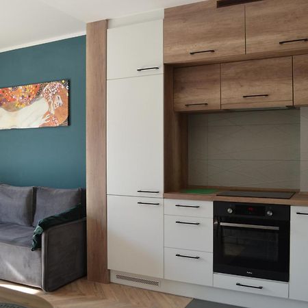 Apartment Sosnowiec City - Free Parking - Easy Check-In Eksteriør billede