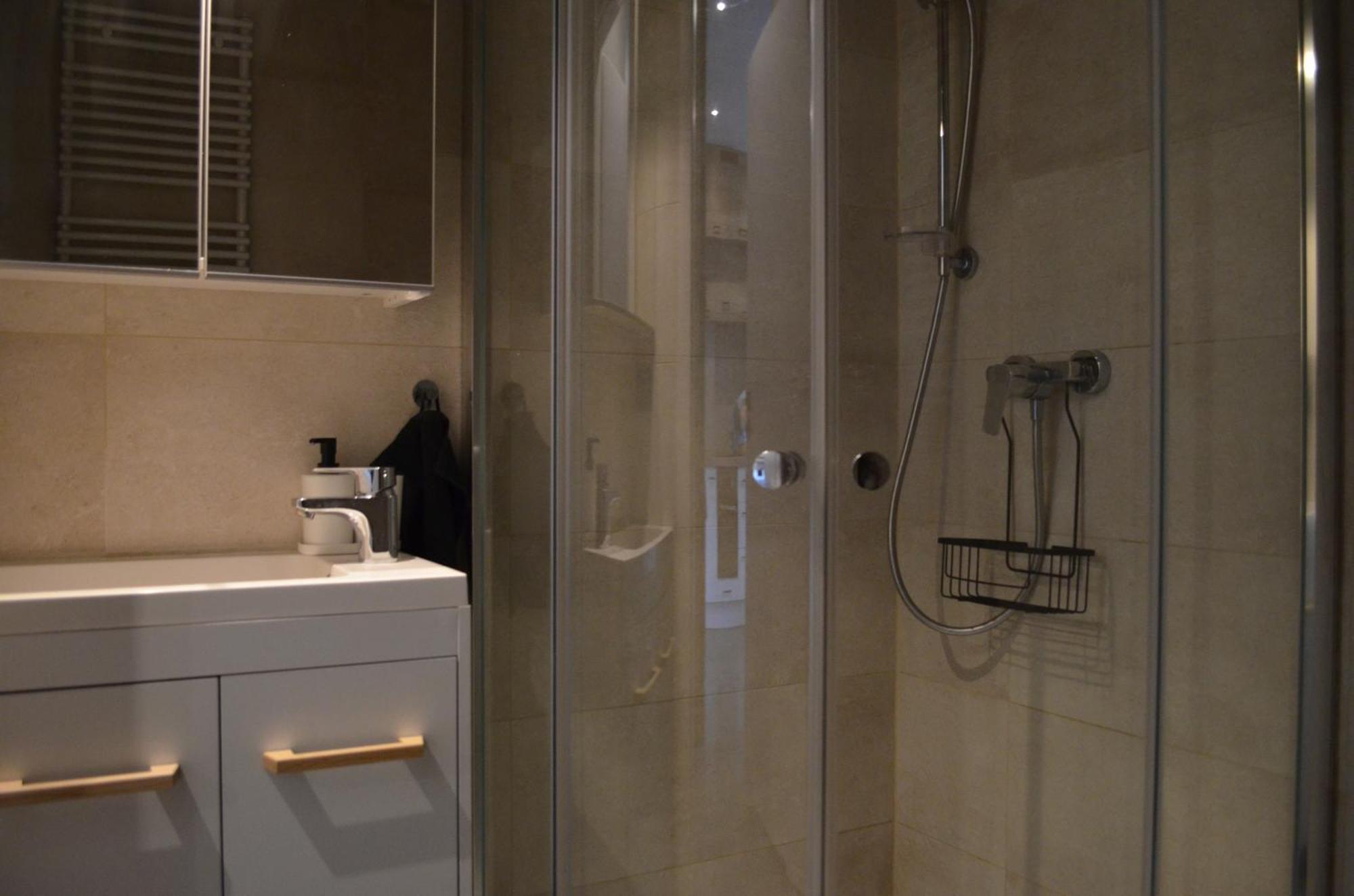 Apartment Sosnowiec City - Free Parking - Easy Check-In Eksteriør billede